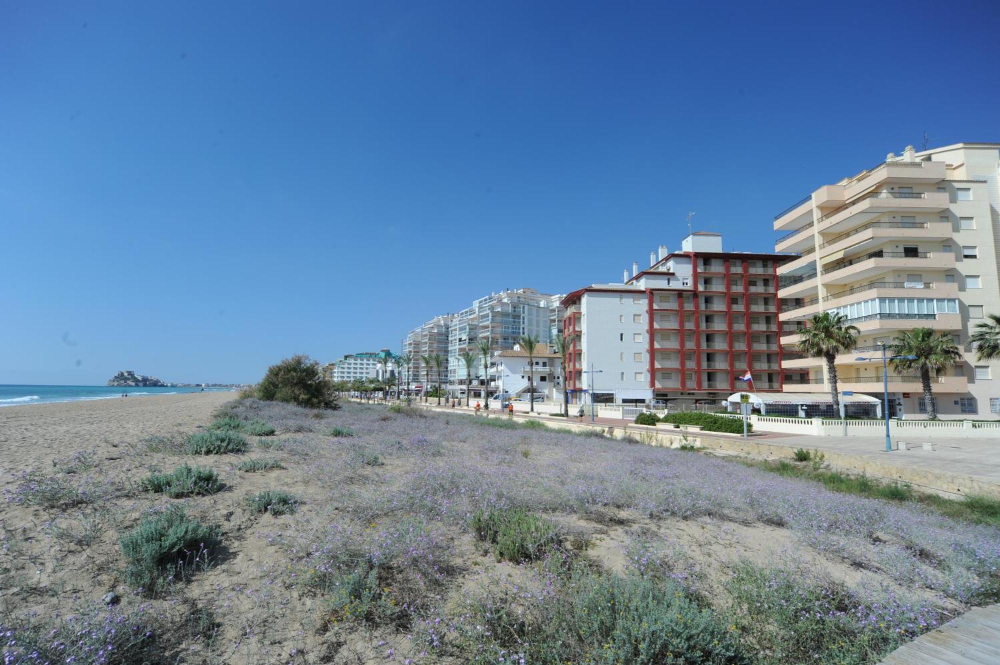Апартаменти Marina Vistamar Orangecosta Пеніскола Екстер'єр фото